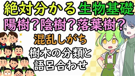 陽樹 陰樹 一覧 生物基礎|「高校生物基礎」植物の名前一覧シート（植生の多様性と分布）